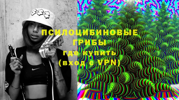 ГАЛЛЮЦИНОГЕННЫЕ ГРИБЫ Киренск
