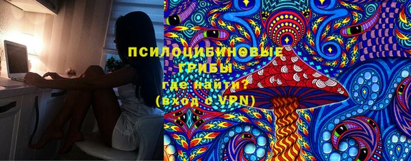 соль ск Киреевск