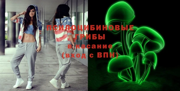 ГАЛЛЮЦИНОГЕННЫЕ ГРИБЫ Киренск